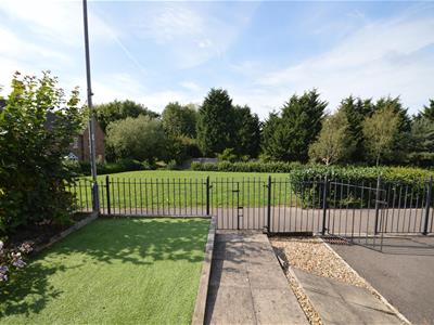 Picture 15